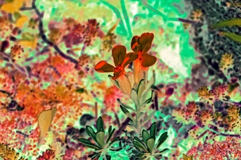 F 030B